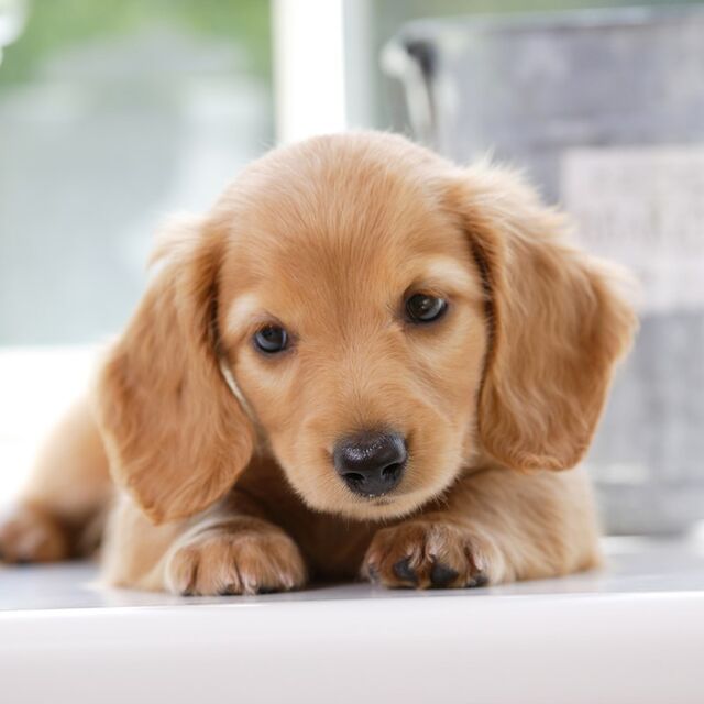 s-AdobeStock_33792681