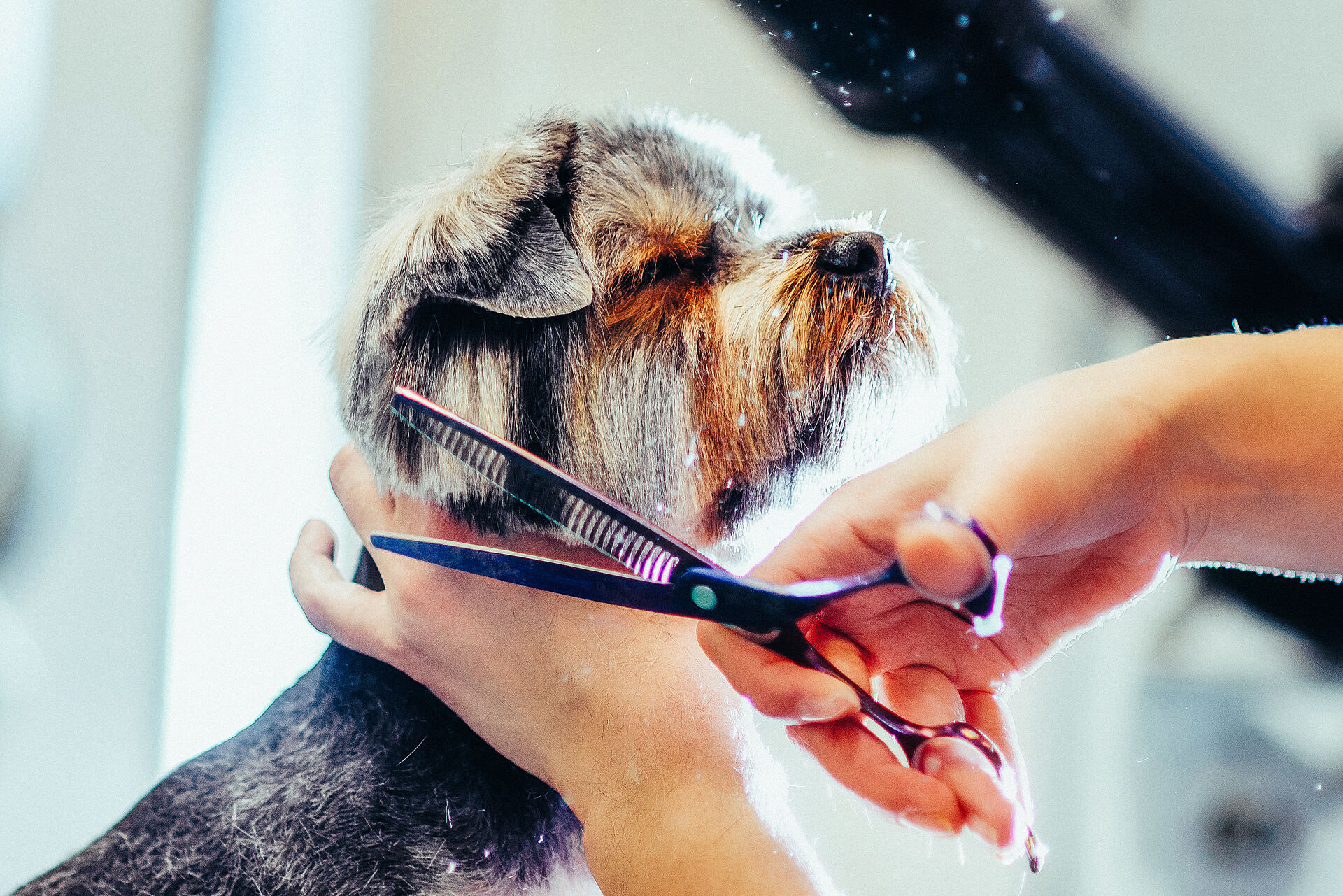 AdobeStock_196232451